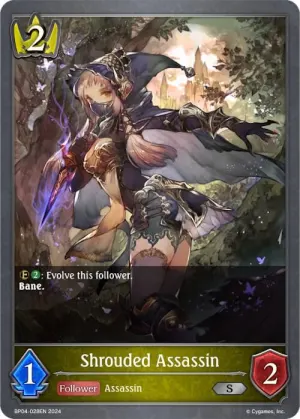 Shrouded Assassin