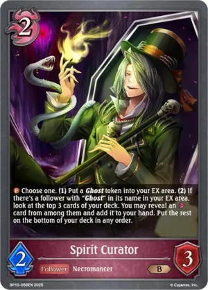 Spirit Curator