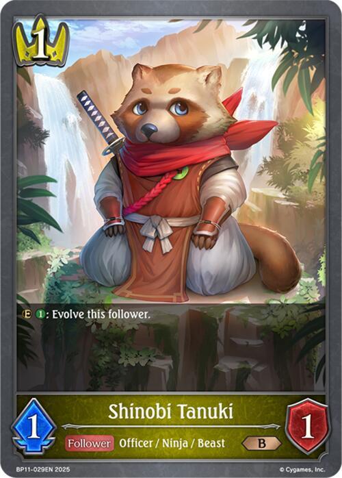 Shinobi Tanuki