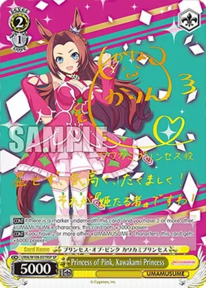 Princess of Pink Kawakami Princess