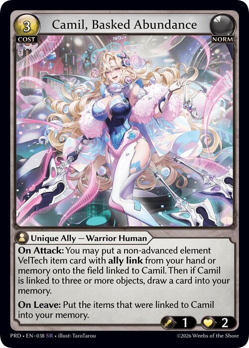 Camil Basked Abundance