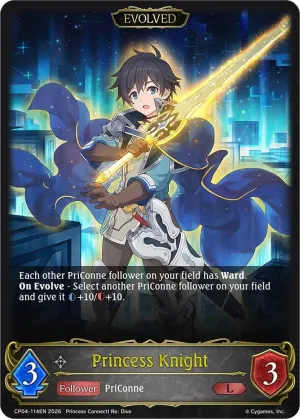 Princess Knight Evolved