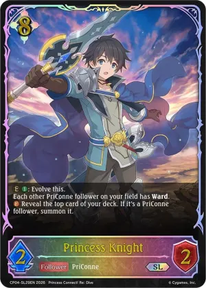 Princess Knight