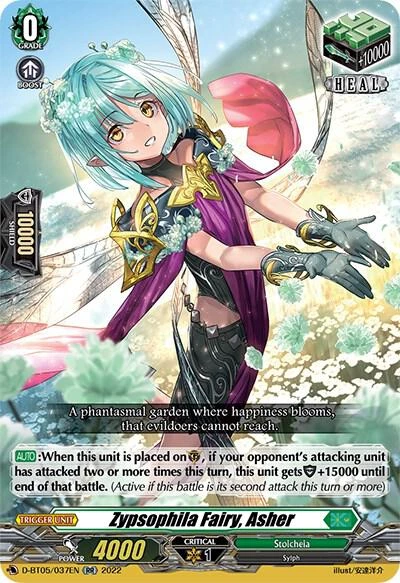 Zypsophila Fairy Asher