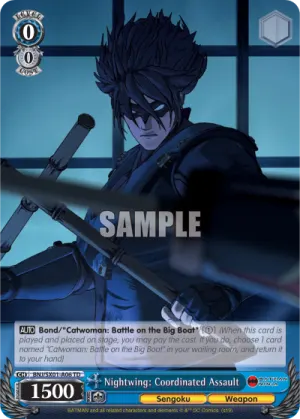 Nightwing: Coordinated Assault